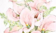 订婚一般买什么戒指 订婚戒指挑选建议