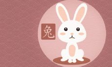 2022年生肖兔的人的整体运势 好坏参半吉中藏凶