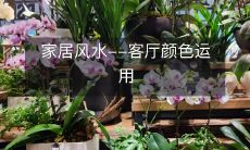 家居风水--客厅颜色运用