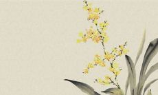 要结婚了男方不提彩礼的事 搞清原因再做打算