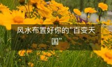 风水布置好你的“百变天国”