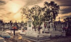 2022年犯太岁的生肖猴带什么 佩戴关于蛇的饰品