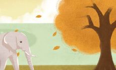 2022犯太岁的生肖属相 生肖猪破太岁