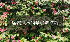 居家风水的禁忌与破解