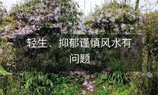 轻生、抑郁谨慎风水有问题