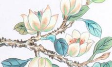 男方父母见面礼红包 考虑时间场合方面