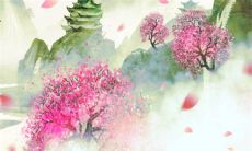 男方父母见面礼 礼尚往来人情世故