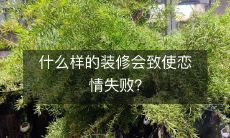什么样的装修会致使恋情失败?