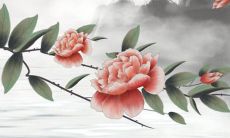 2021年9月17日开张大吉吗 是开张吉日吗