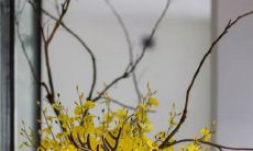 2021年生肖属龙11月能装修开工利日查询 好日子查询