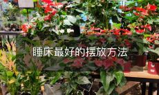 睡床最好的摆放方法