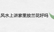 从风水上讲家里放兰花好吗 象征着什么寓意