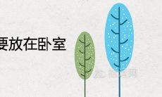 富贵竹千万不要放在卧室是什么风水说法