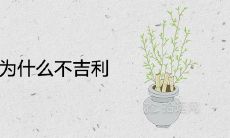 落地生根为什么不吉利 风水寓意有哪些