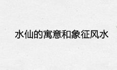水仙的寓意和象征风水