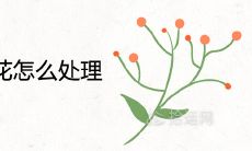 家里养了一个彼岸花怎么处理最合适