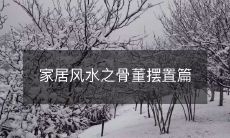 家居风水之骨董摆置篇