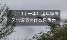 (二0十一年)流年家居风水调节为什么只重大门