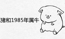 1983年属猪和1985年属牛