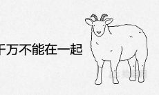 属牛属羊千万不能在一起为什么 结婚配对后的结局如何