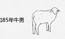 91年羊女和85年牛男相配吗
