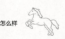 马和龙的姻缘怎么样