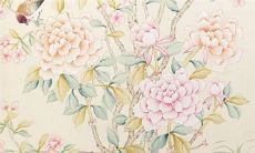 2022年12月10日出行日子好不好 今日日子吉利吗