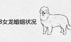 82男狗88女龙婚姻状况