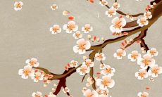 2022年12月15日适合出门游玩吗 出行日子查询