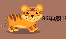 86年虎和88年龙是断头婚吗 婚姻配对合不合