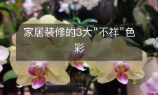 家居装修的3大“不祥”色彩