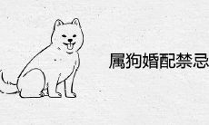 属狗婚配禁忌生肖