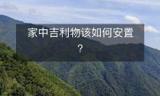 家中吉利物该如何安置?