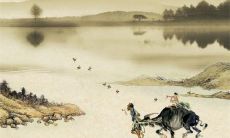 属虎三合和三冲属相 慎重选择决定成败