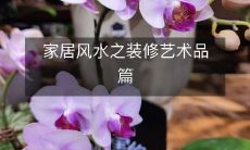 家居风水之装修艺术品篇