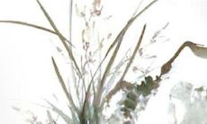 2023本命年戴什么饰品好 霉运退散大吉大利