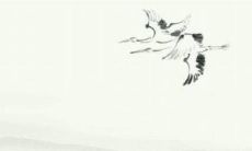 几月份的牛比较有福气 一生无忧运势兴旺