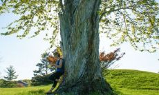 八字免费算命2022年运程 八字详解虎年运势