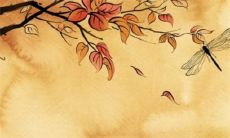 十二生肖小运:2022年12月30日腊八节特吉生肖一览表