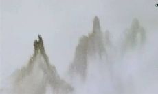 2023鼠年今年运程 2023年对属鼠有利吗