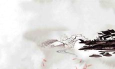 2023年属猪人幸运色 流年大运功成名就