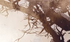 正月初五出生人的婚姻 对爱情充满美好憧憬