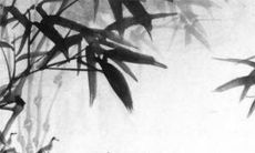 2022年12月29日有哪些特吉生肖 今日生肖冲煞情况