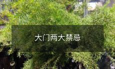 大门两大禁忌