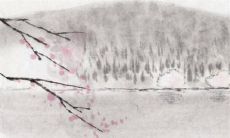 2023年属兔贵人属相 渡过难关吐露心声