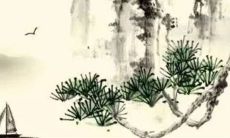 2023年鼠女的运气如何 诸事顺利升职加薪