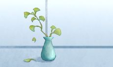 初二生人为什么不好 农历初二出生命运分析