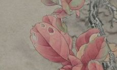 2022年生肖属狗在9月适合搬新家的好日子 搬家黄道吉日