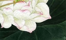 2022年9月份搬家黄道吉日 这几天适宜搬家