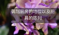 调剂厨房的地位以及厨具的陈列